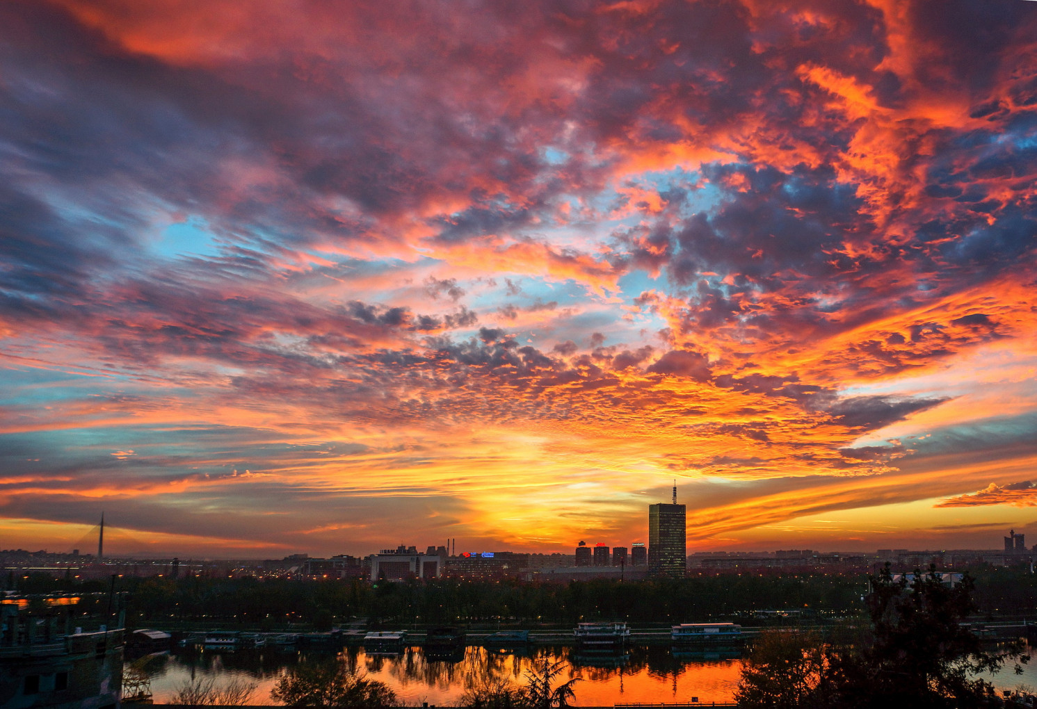 učenje jezika online